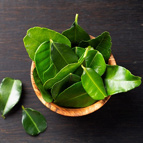 Daun Jeruk