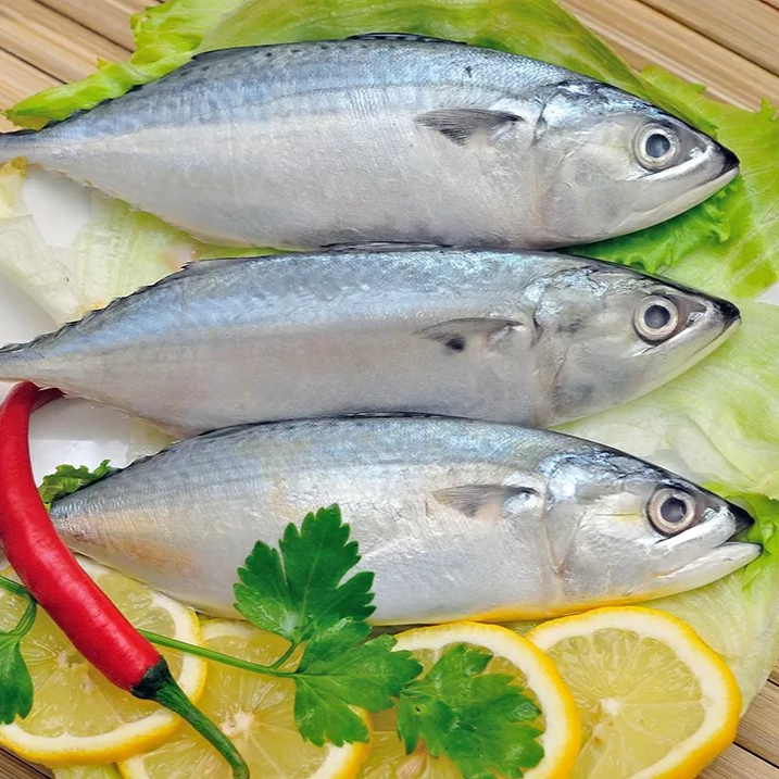 Ikan Kembung