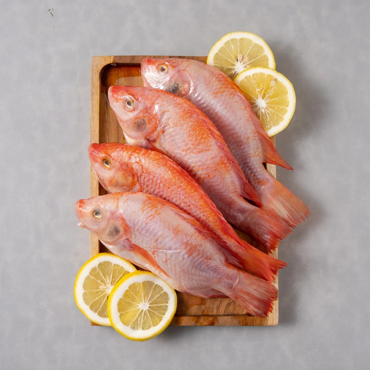 Ikan Nila Merah