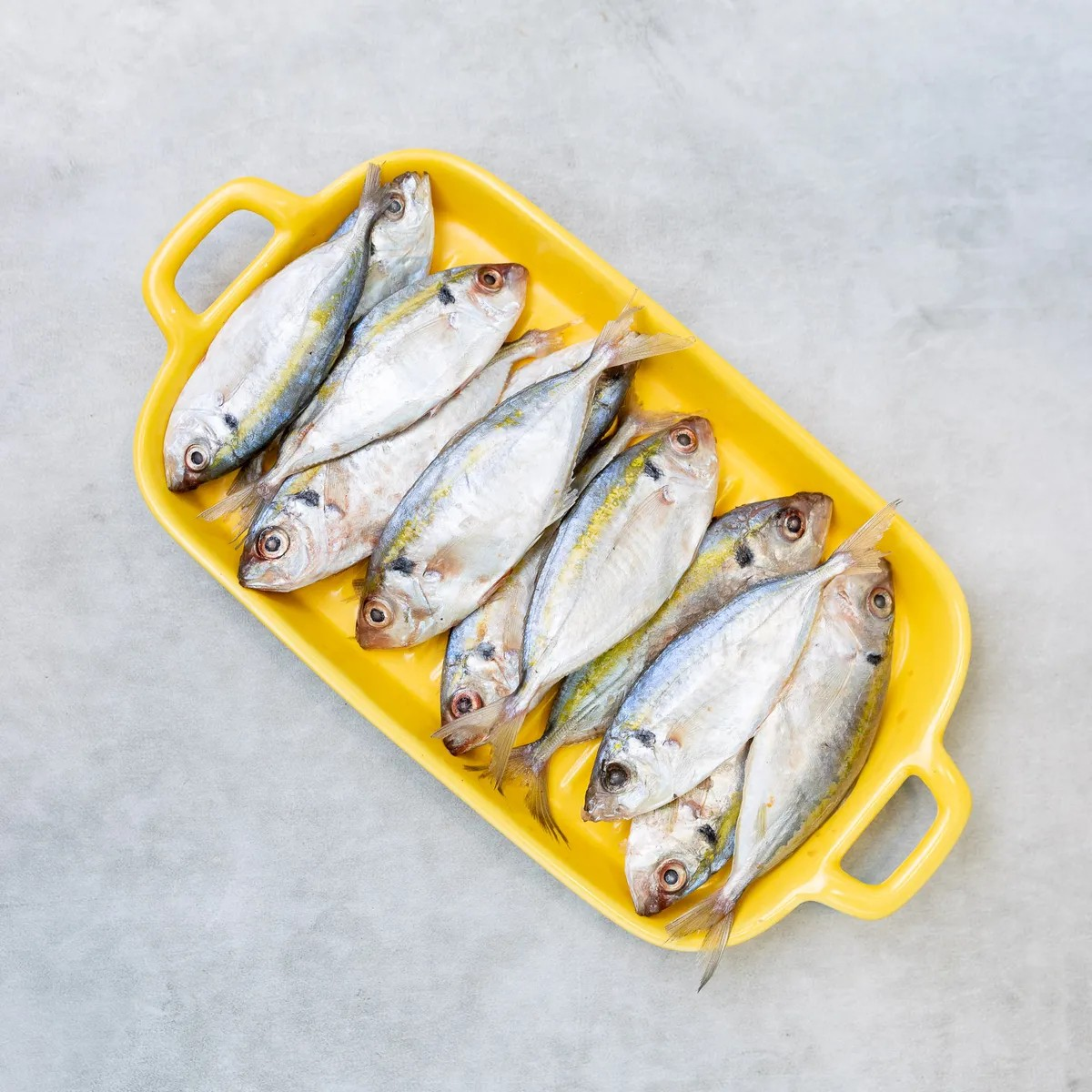 Ikan Selar
