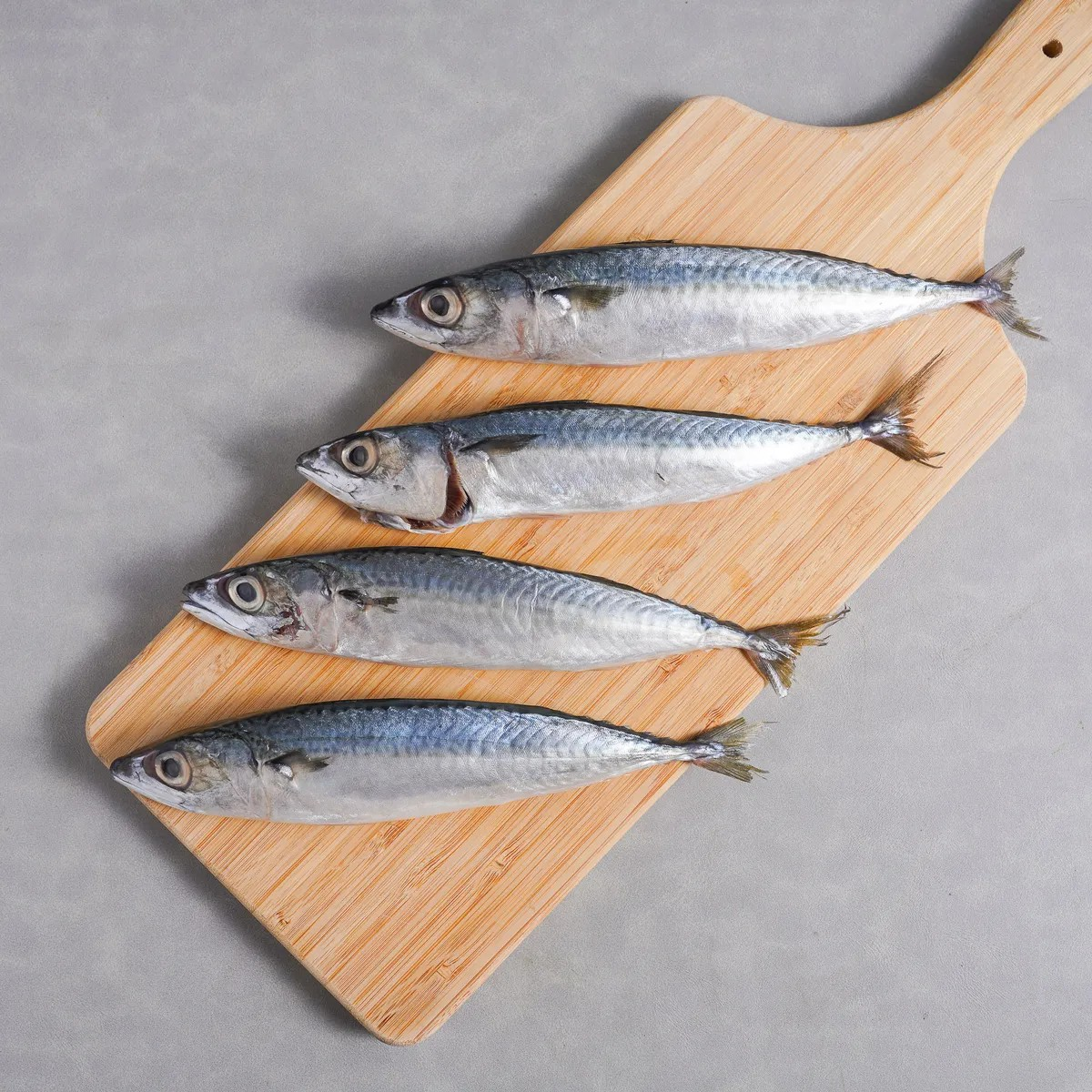 Ikan Salem