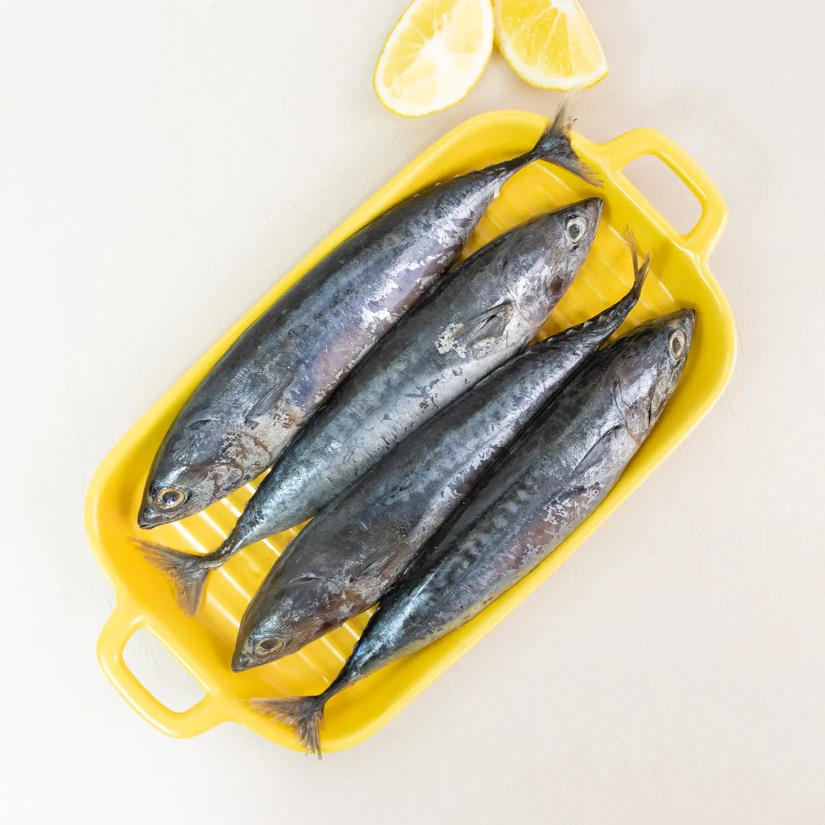 Ikan Tongkol