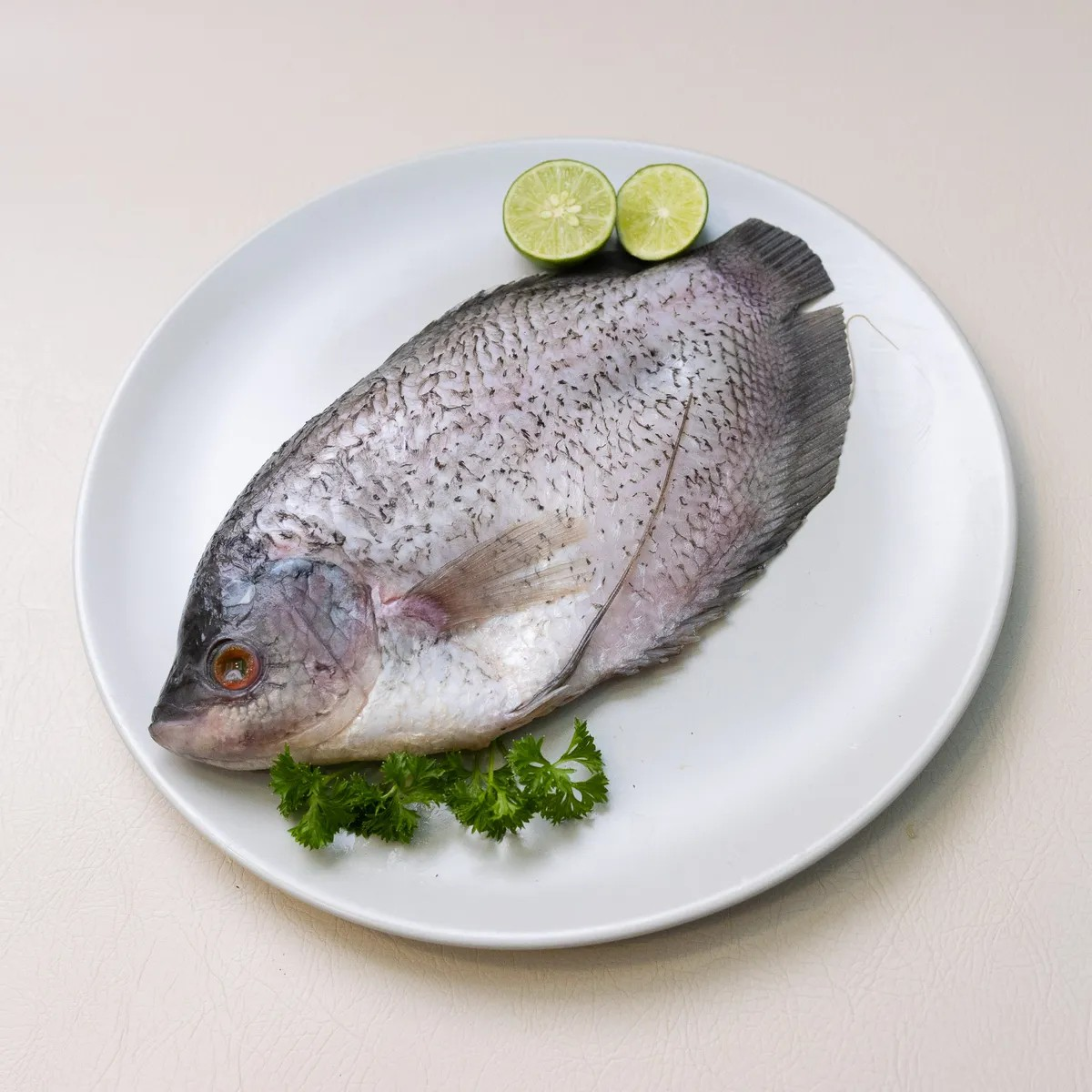 Ikan Gurame