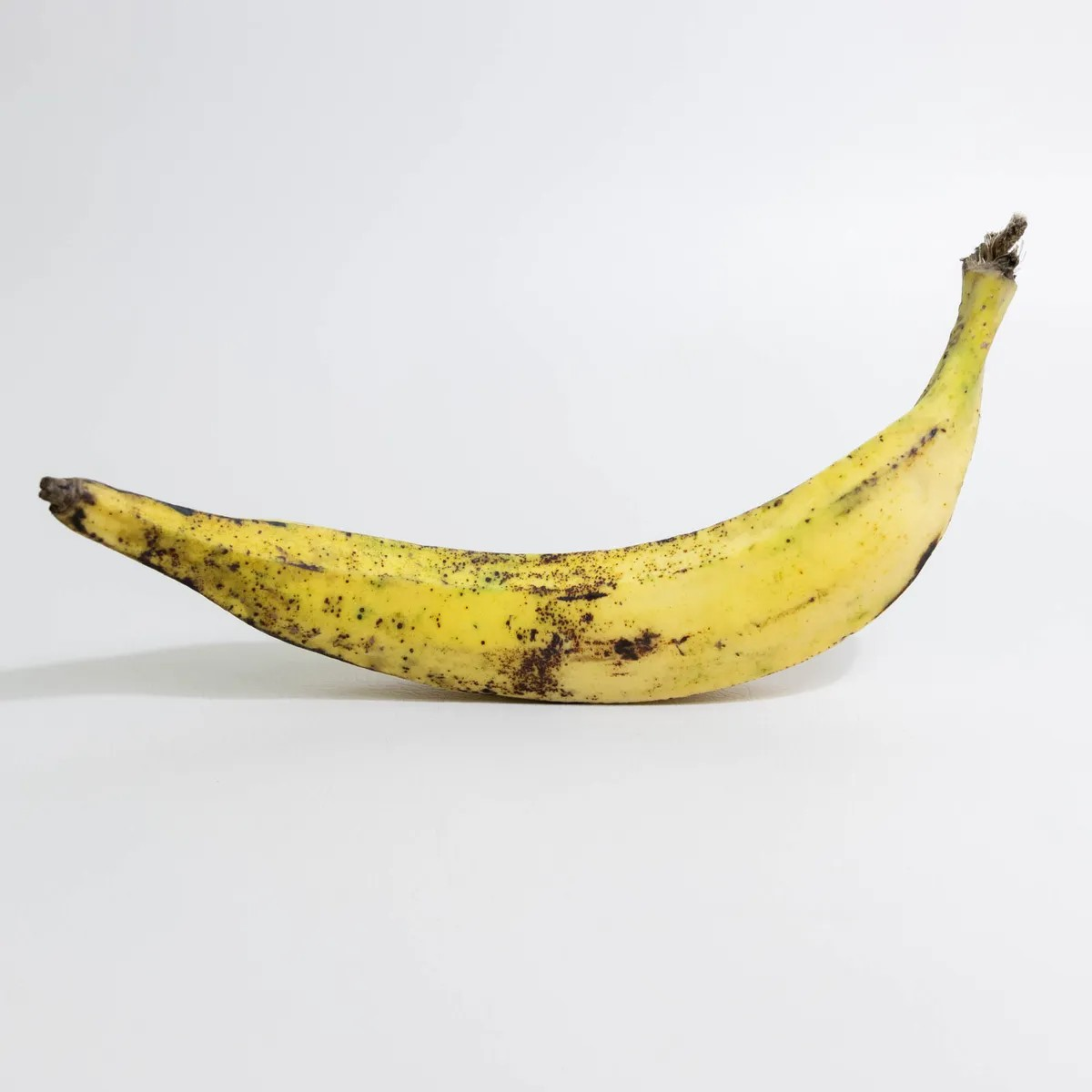 Pisang Tanduk