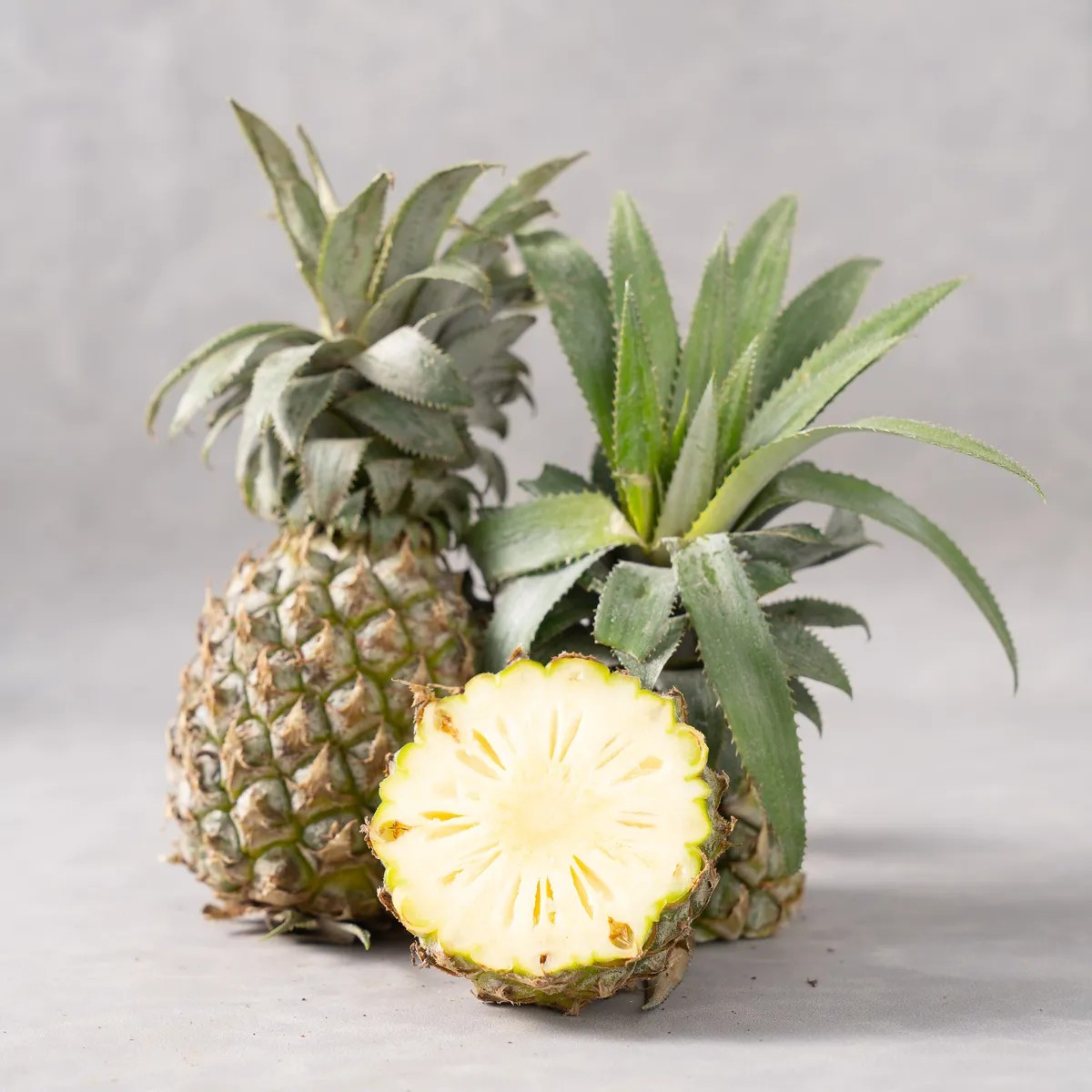 Nanas Madu