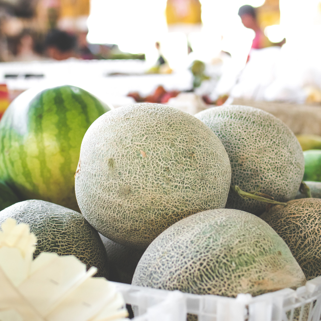 Melon