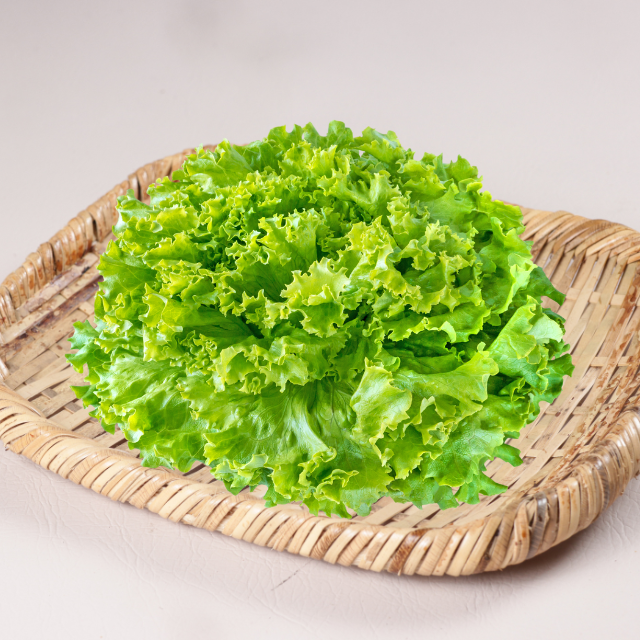 Salada Keriting