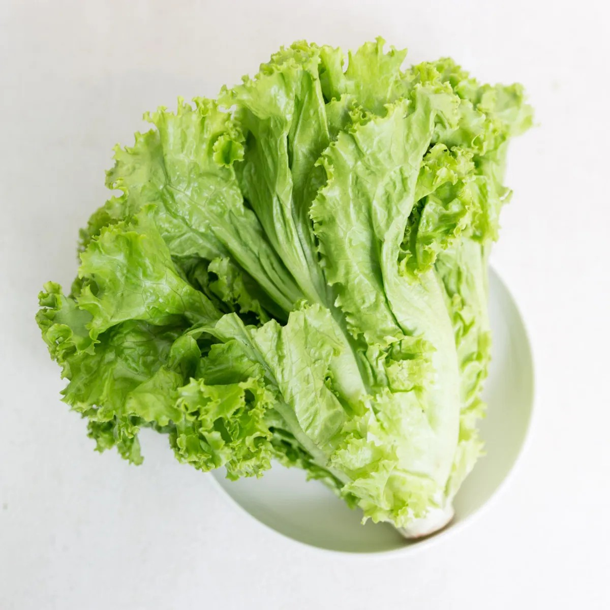 Salada Keriting