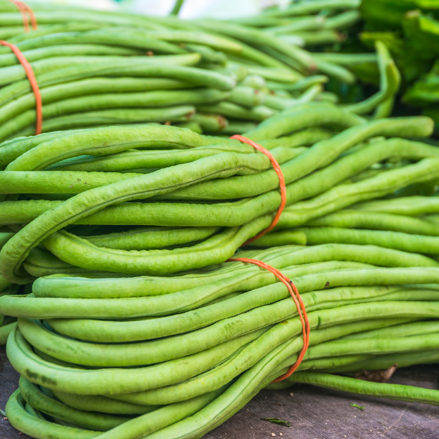 Kacang Panjang