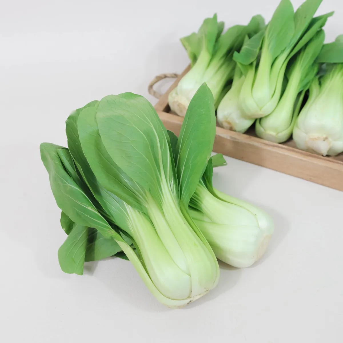 Pak Choy