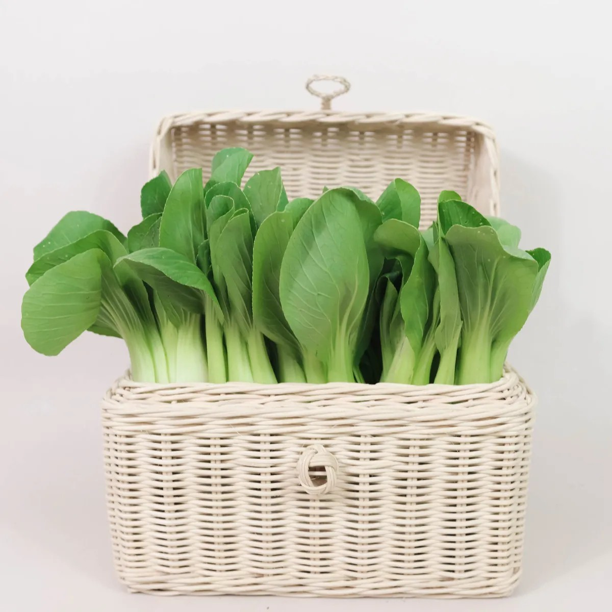 Pak Choy