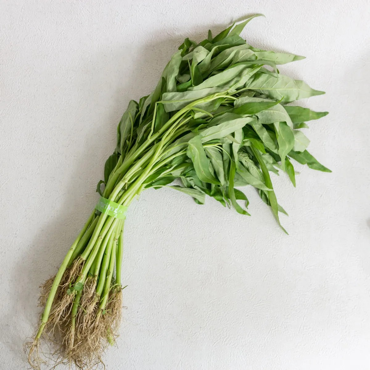 Kangkung