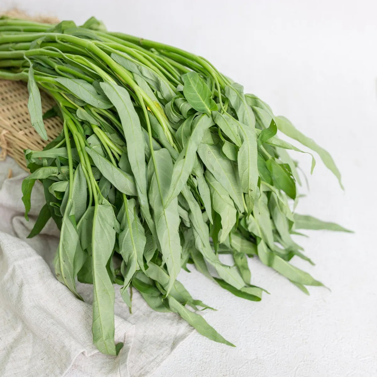 Kangkung