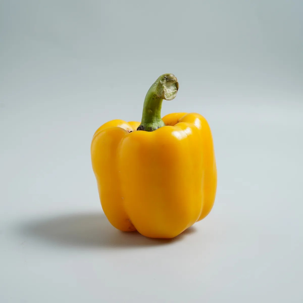Paprika Warna