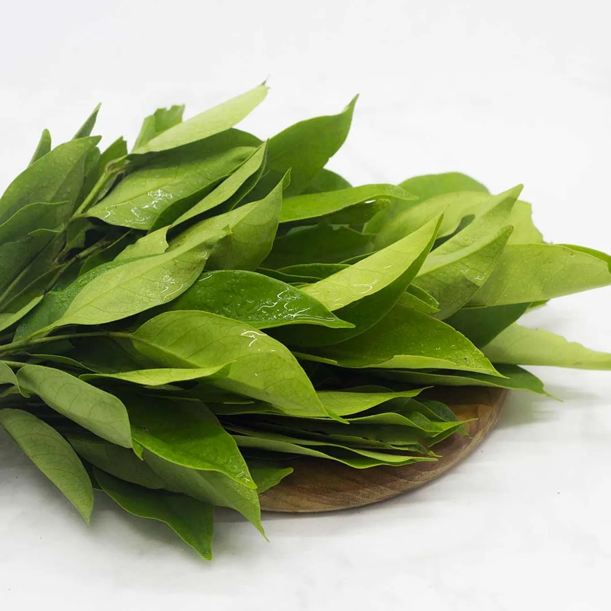 Daun Salam