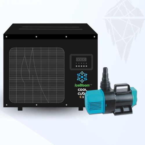 Vandens aušintuvas IceBloom Cool Cube C3