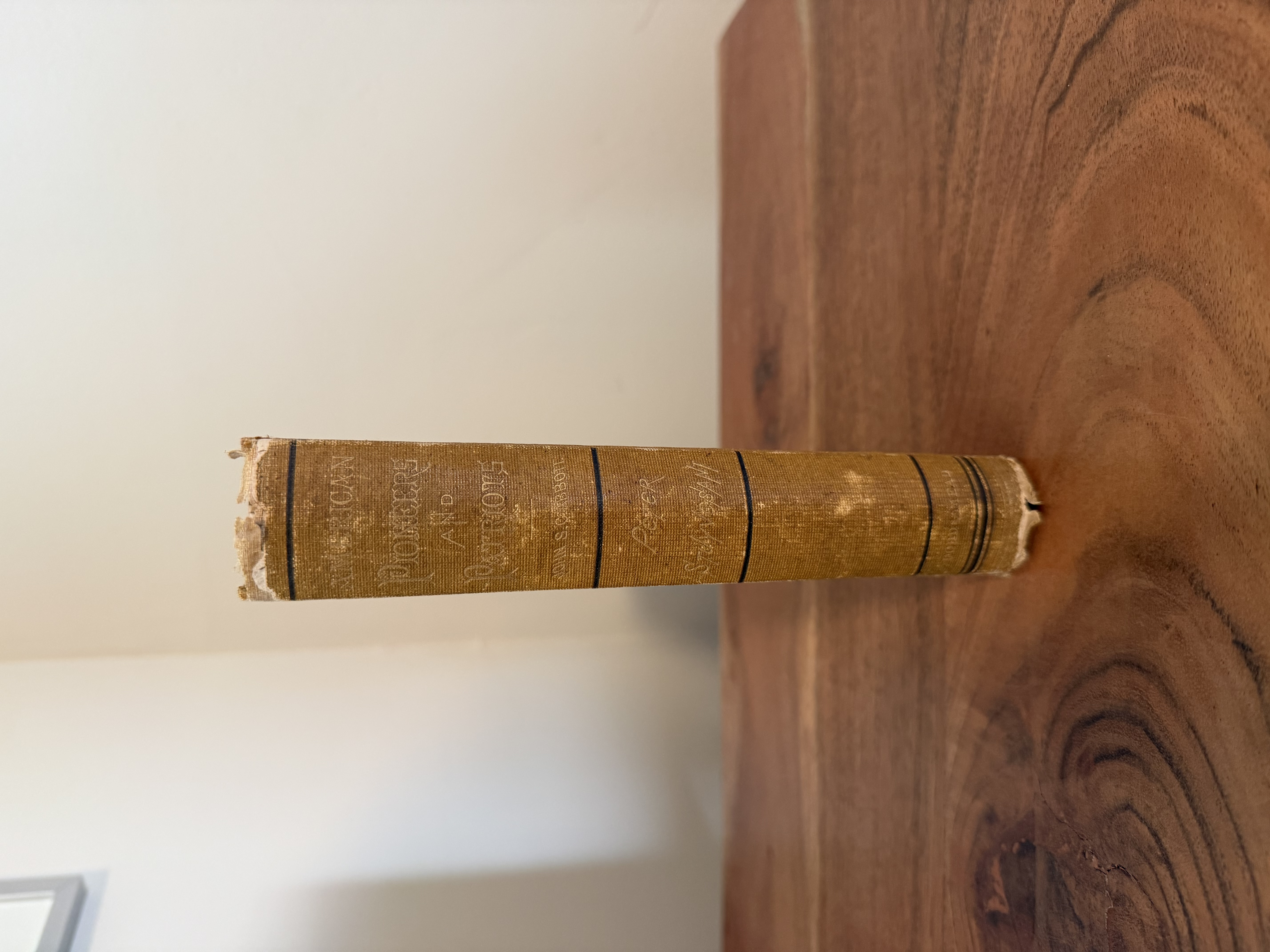 The Pioneers and Patriots of America - Peter Stuyvesant, the Last Dutch Governor of New Amsterdam