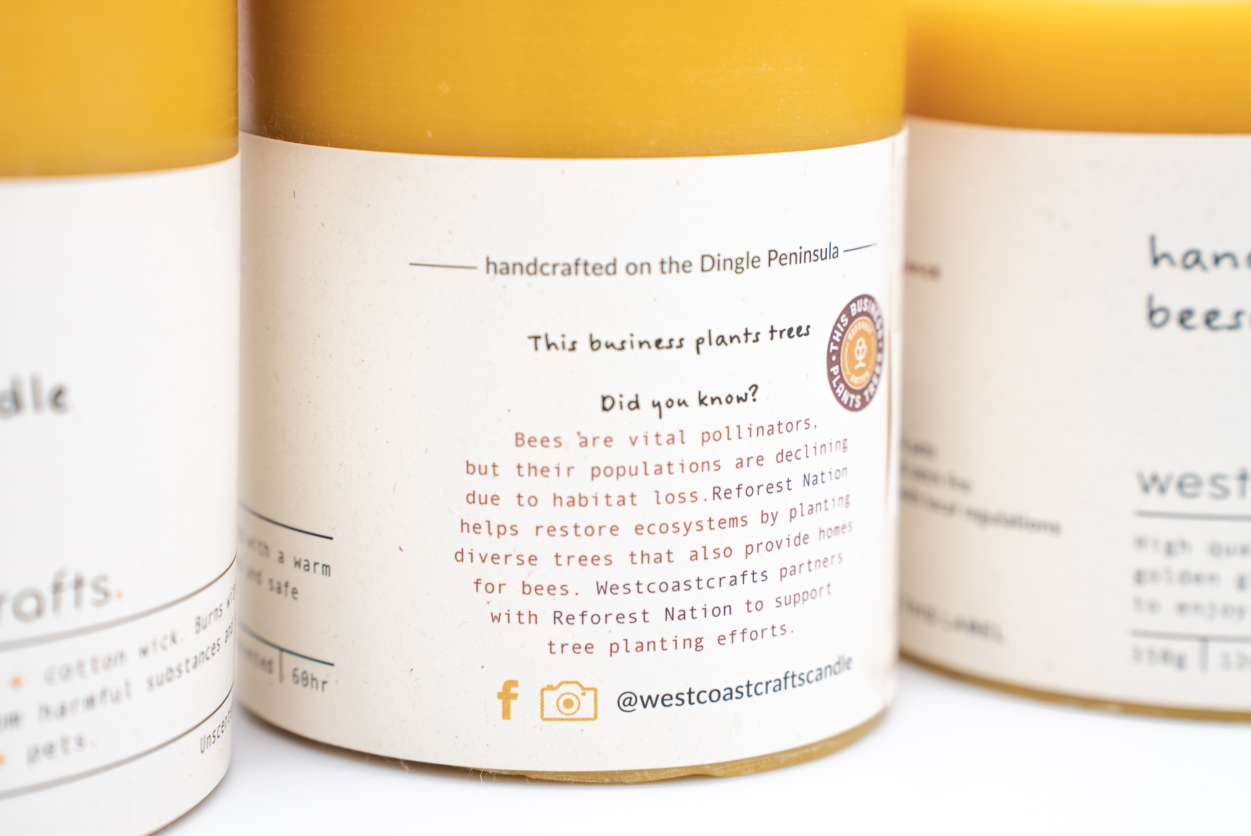 Pure Beeswax Pillar Candle Set — Large, Medium & Small