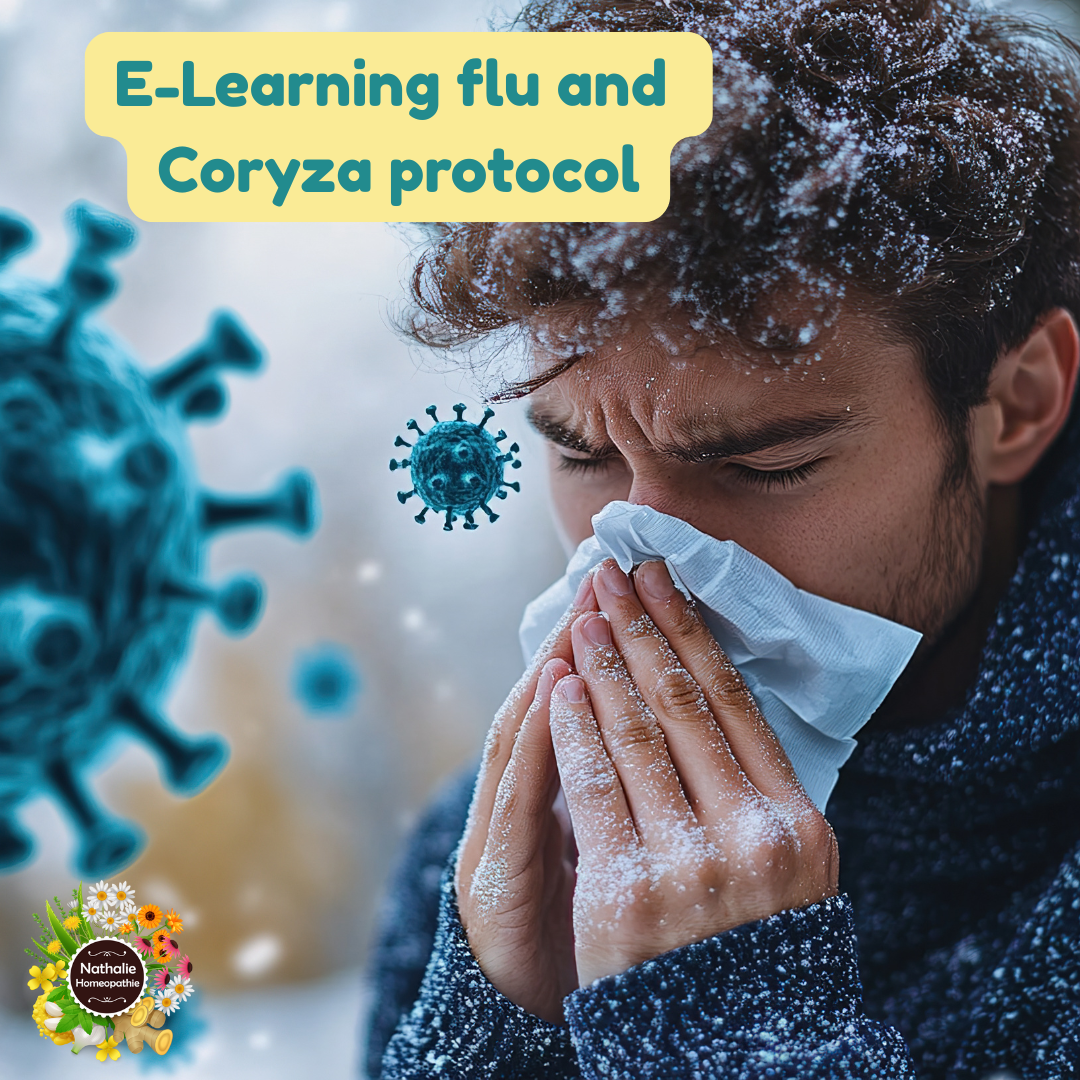 E-learning Flu and Coryza Protocol