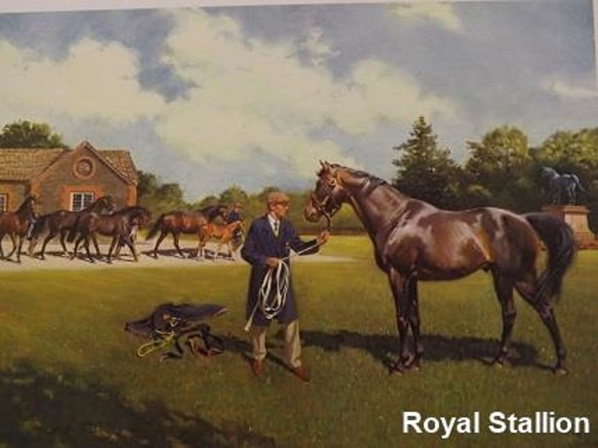 Royal Stallion | Cuneo Fine Arts