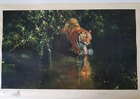 Tiger Burning Bright | David Shepherd