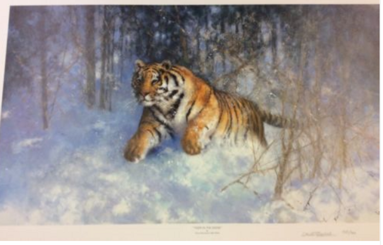 Tiger in the Snow | David Shepherd