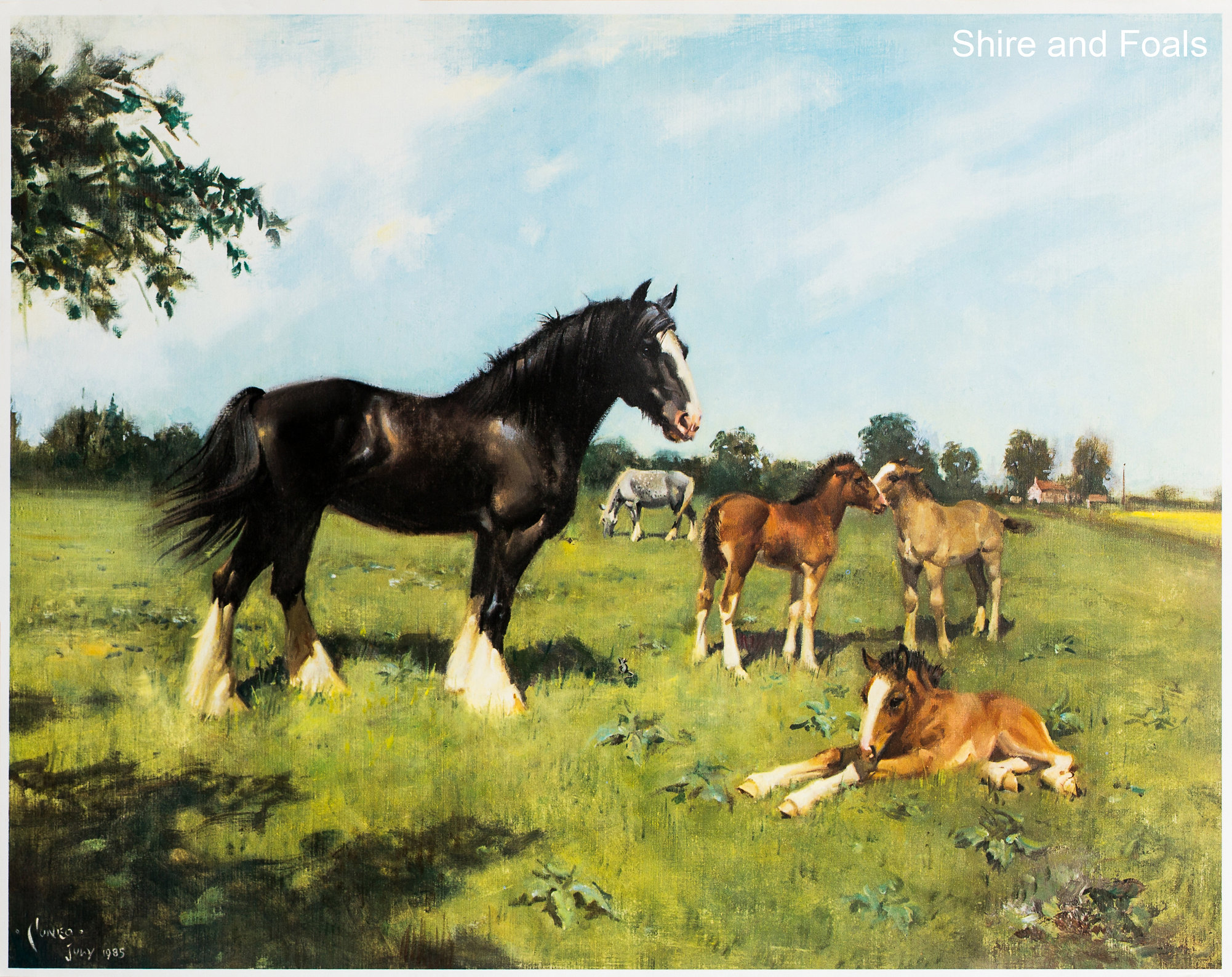 Shire and Foals | Cuneo Fine Arts