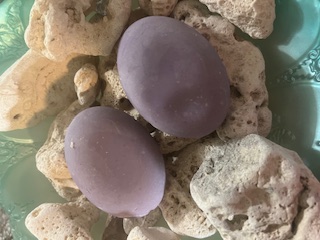  Lavender Geranium Oval Soap 