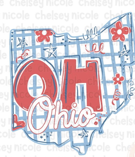 Ohio State Plaid Art Print Tee