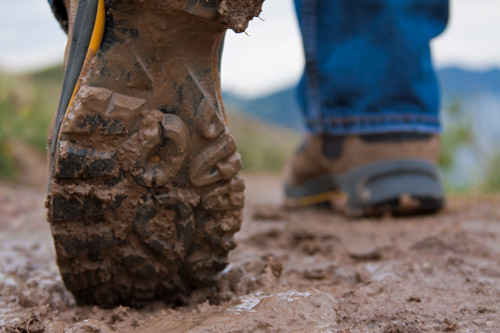 Boots on the ground SiteWalk  - ADU or Tiny House