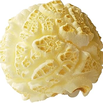 Morrison Farms Premium Popcorn (PREVENTA)