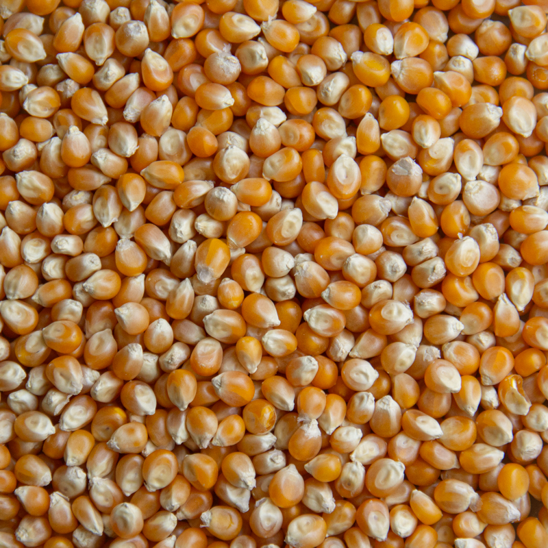 Morrison Farms Premium Popcorn (PREVENTA)