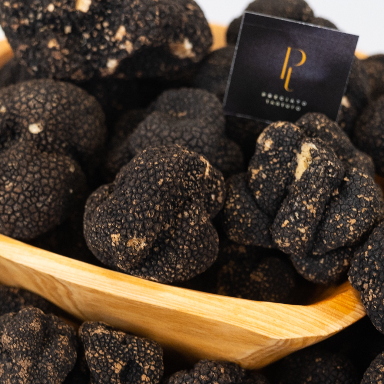 Trufa Negra de Inverno - Tuber Melanusporum