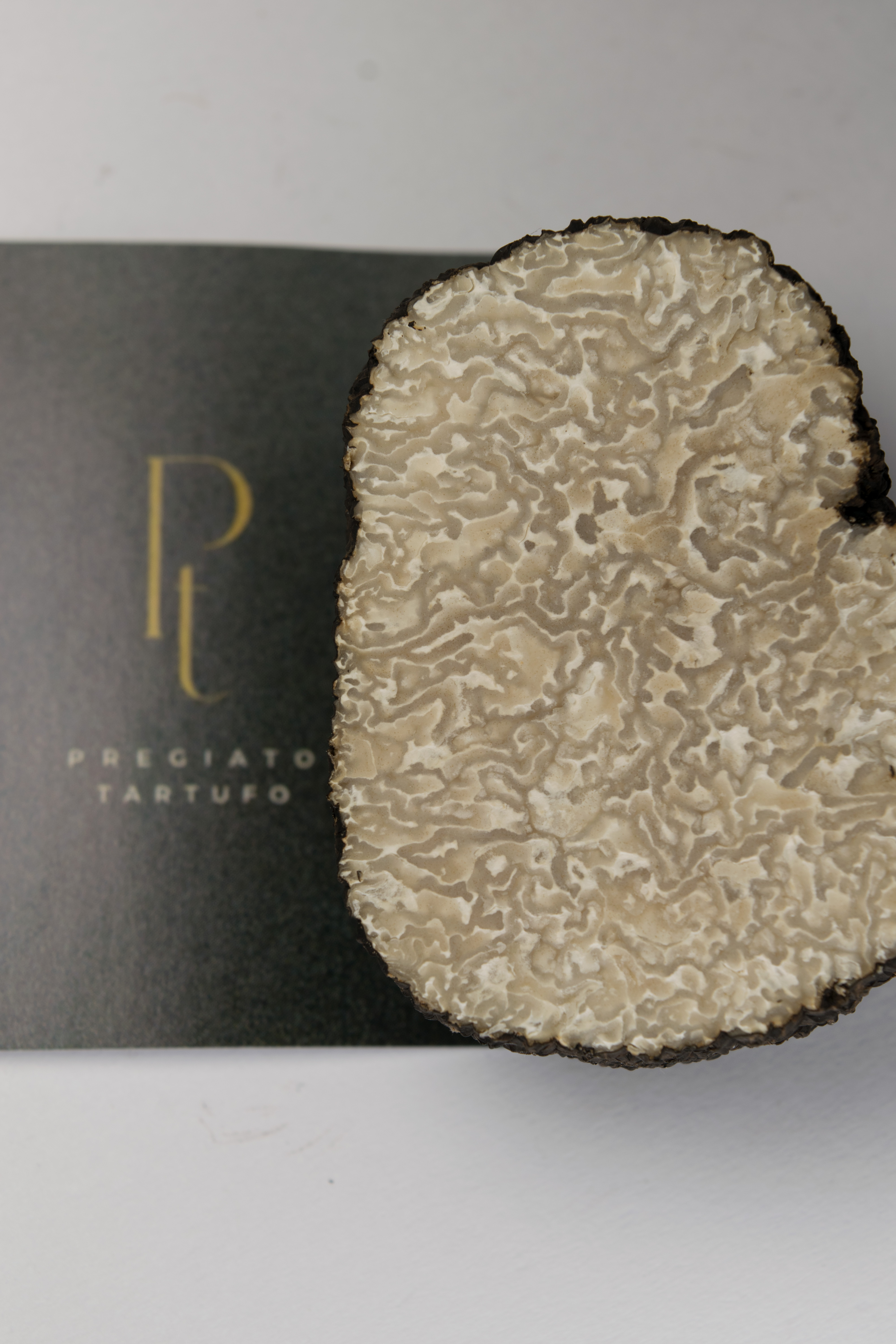 Trufa negra fresca de verao