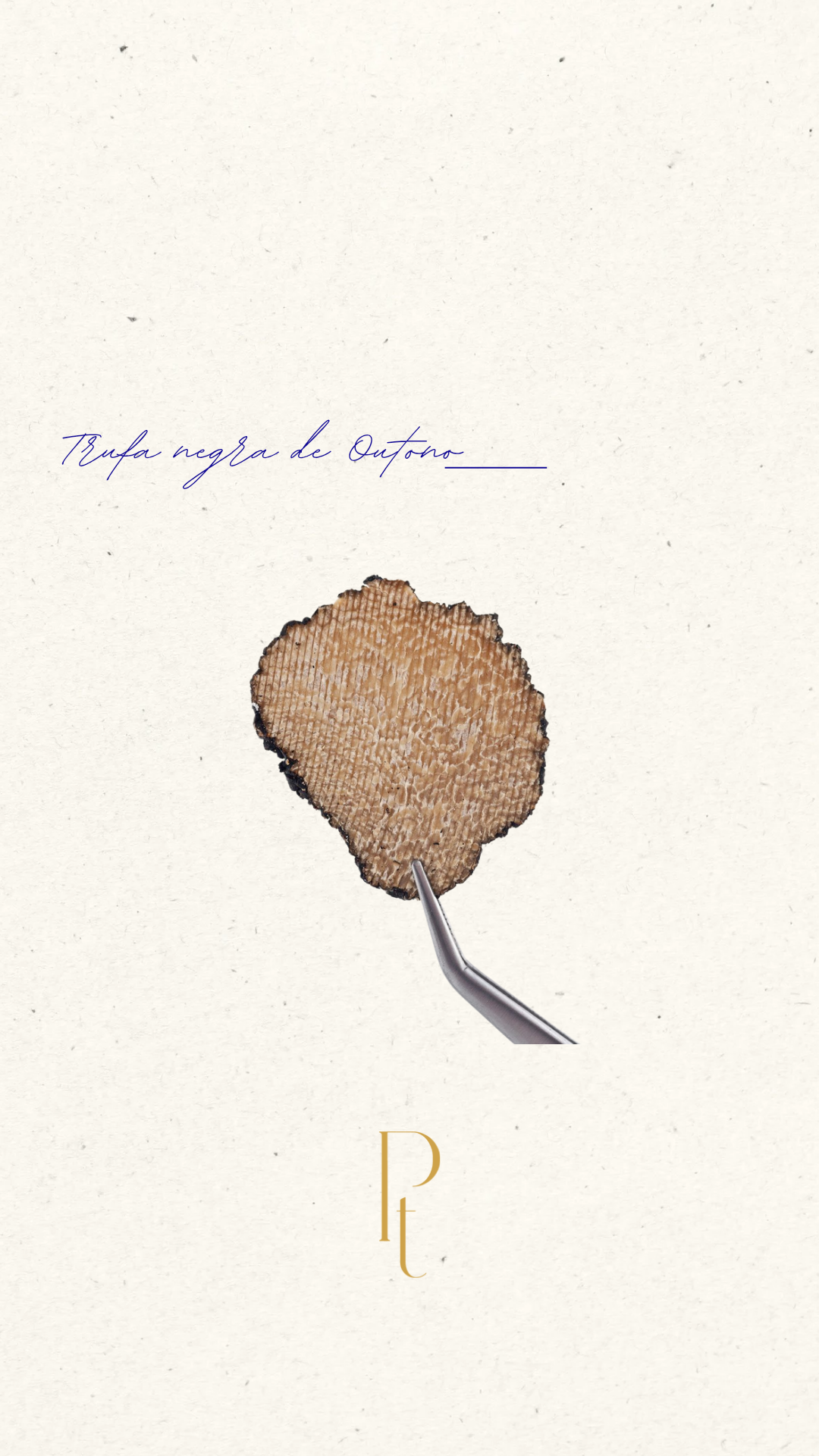 Trufa negra fresca de verao