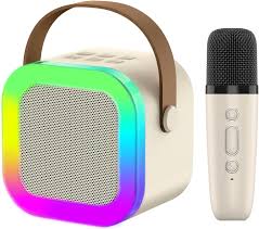 Portable Bluetooth Speaker with Wireless Microphone