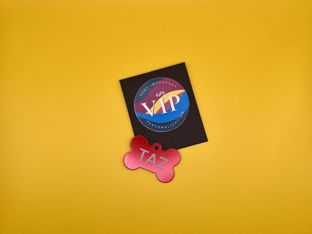 Médaillon Chien Personnalisé