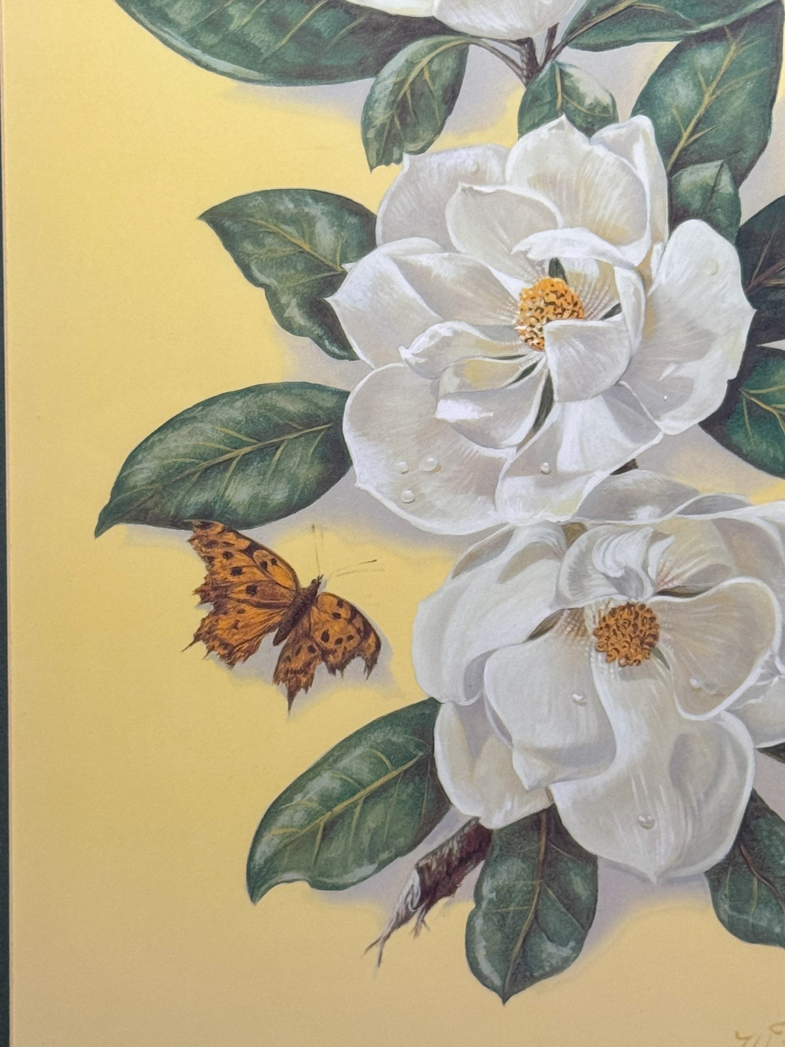 Waltraud Fuchs Von Schwarzbek