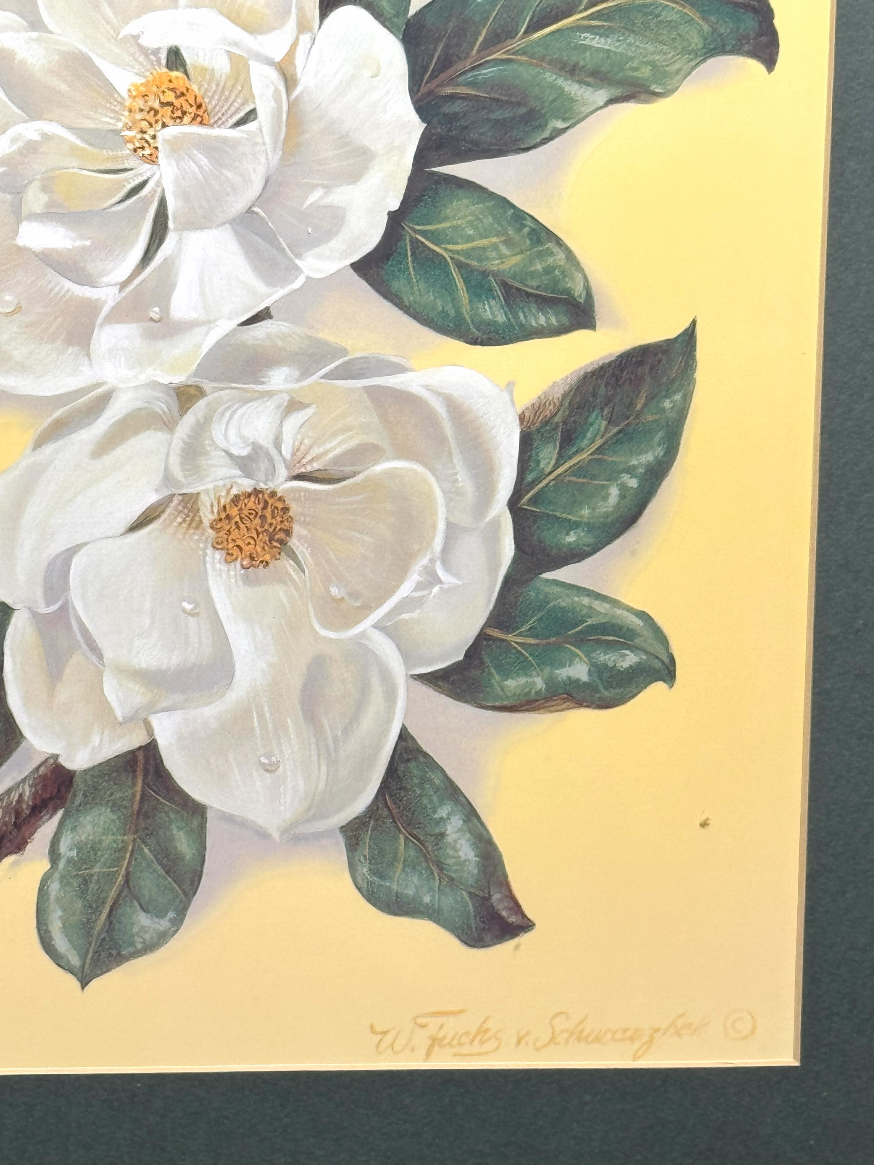 Waltraud Fuchs Von Schwarzbek