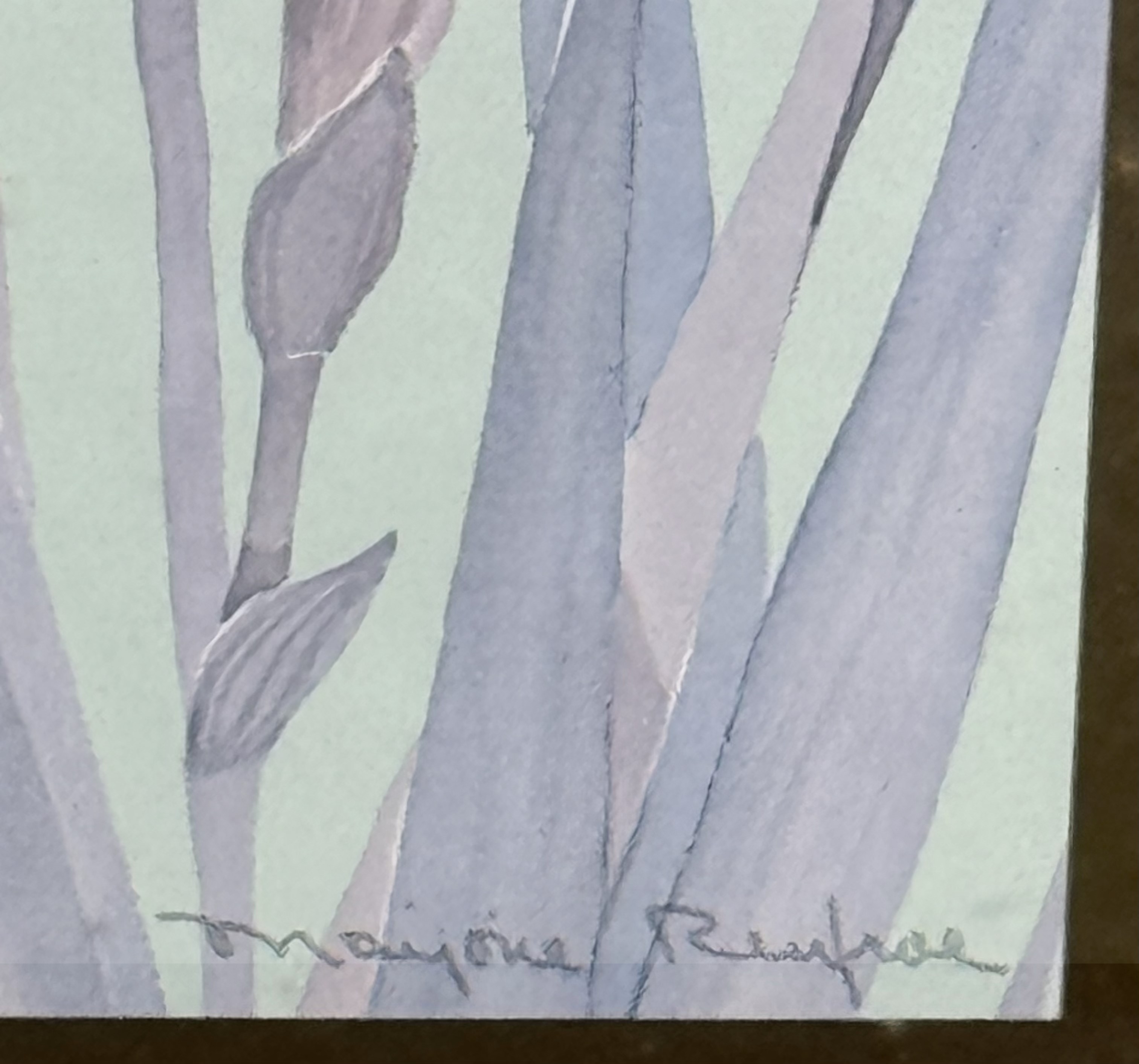 Majorie Renfroe