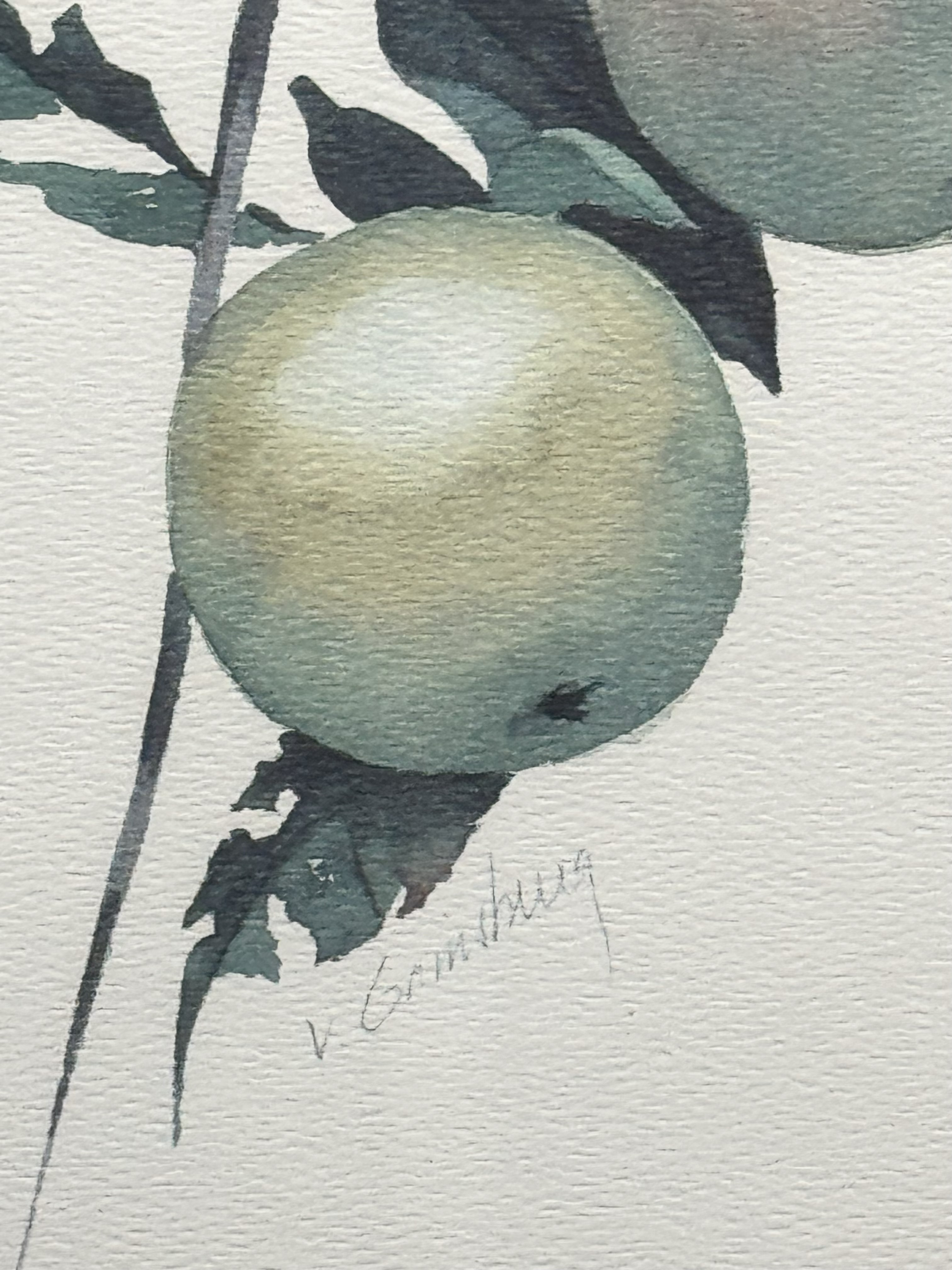 Framed Fruit Art Print