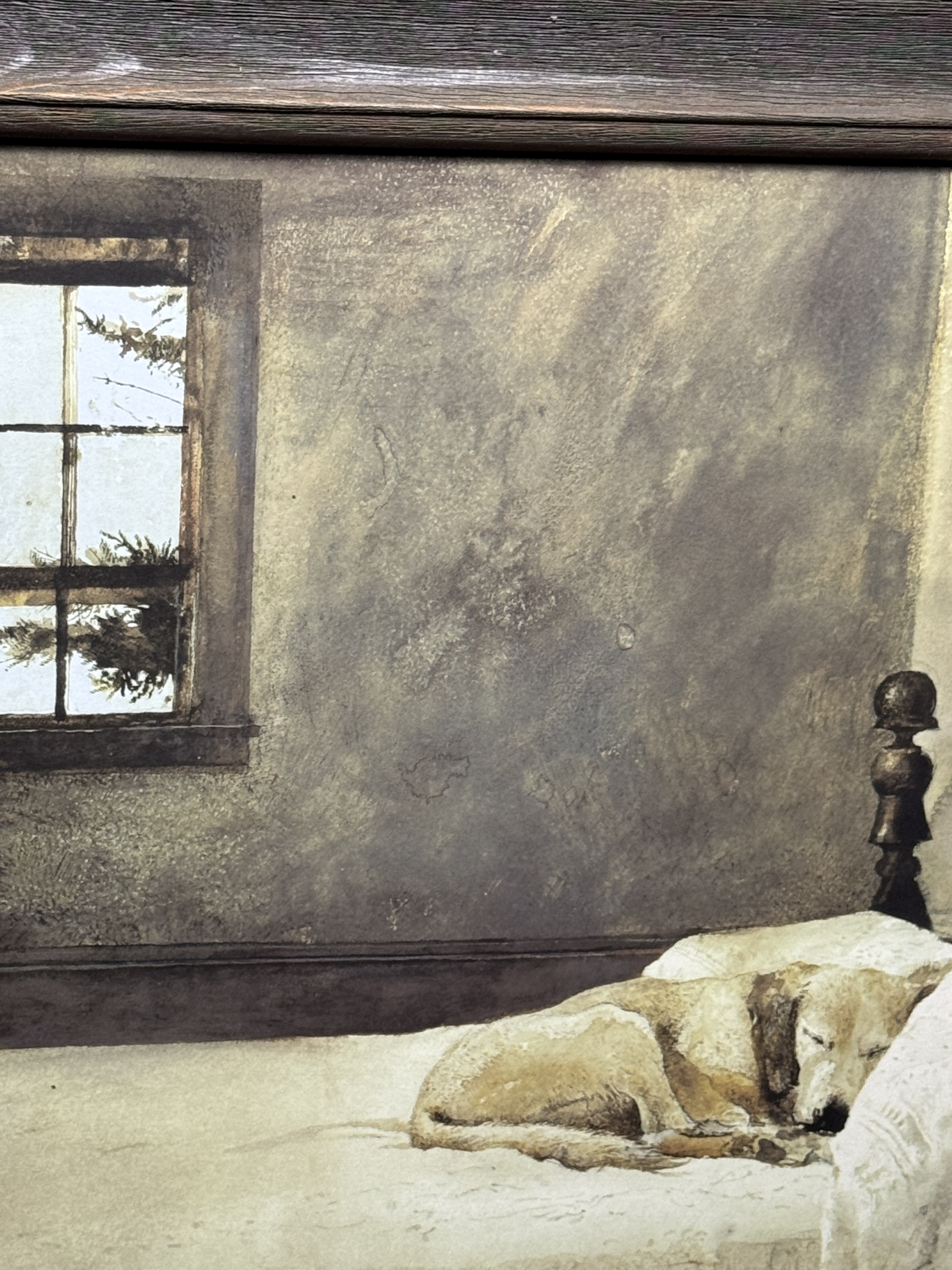 Andrew Wyeth