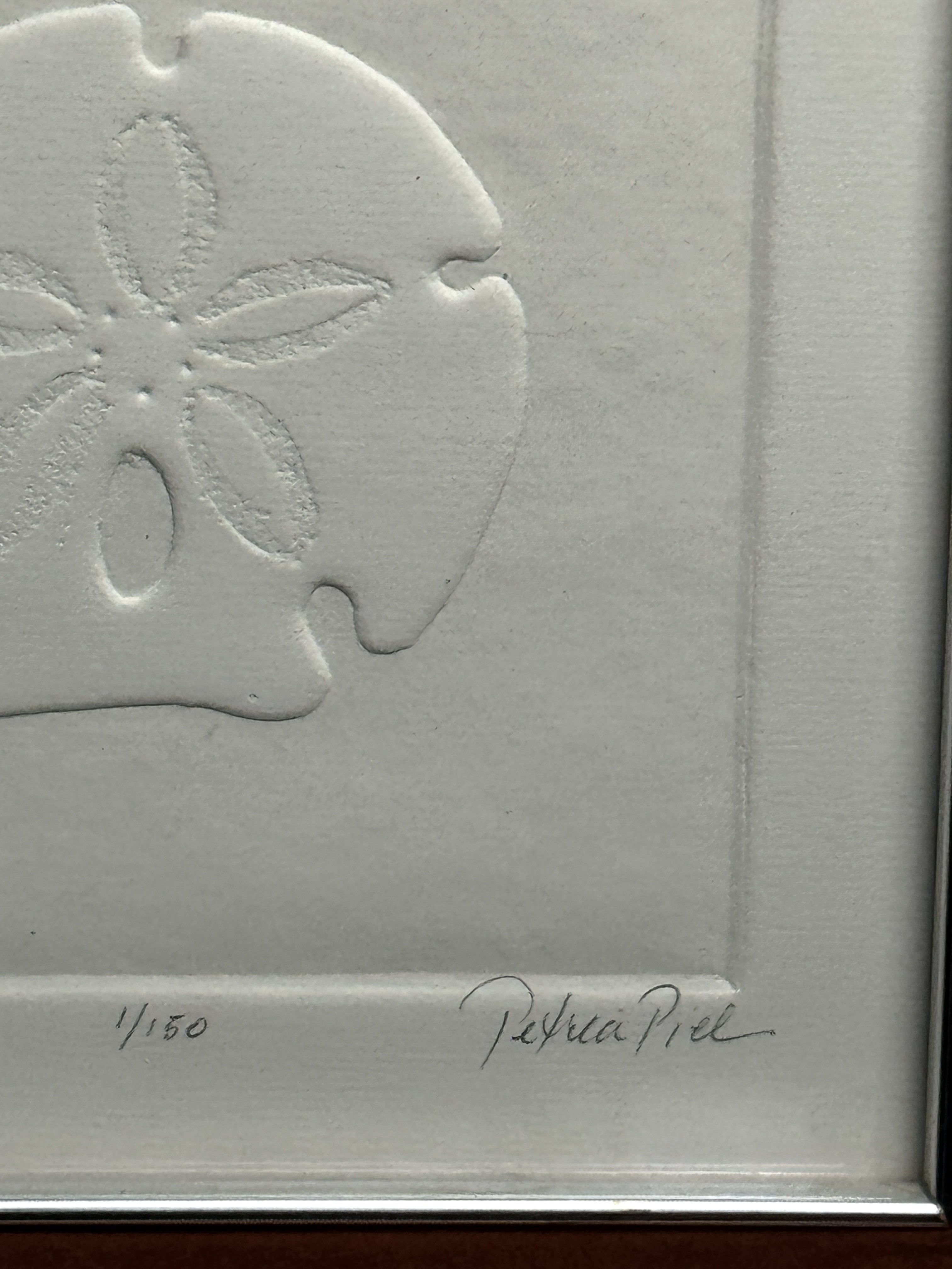 Sand Dollar Embossed Art