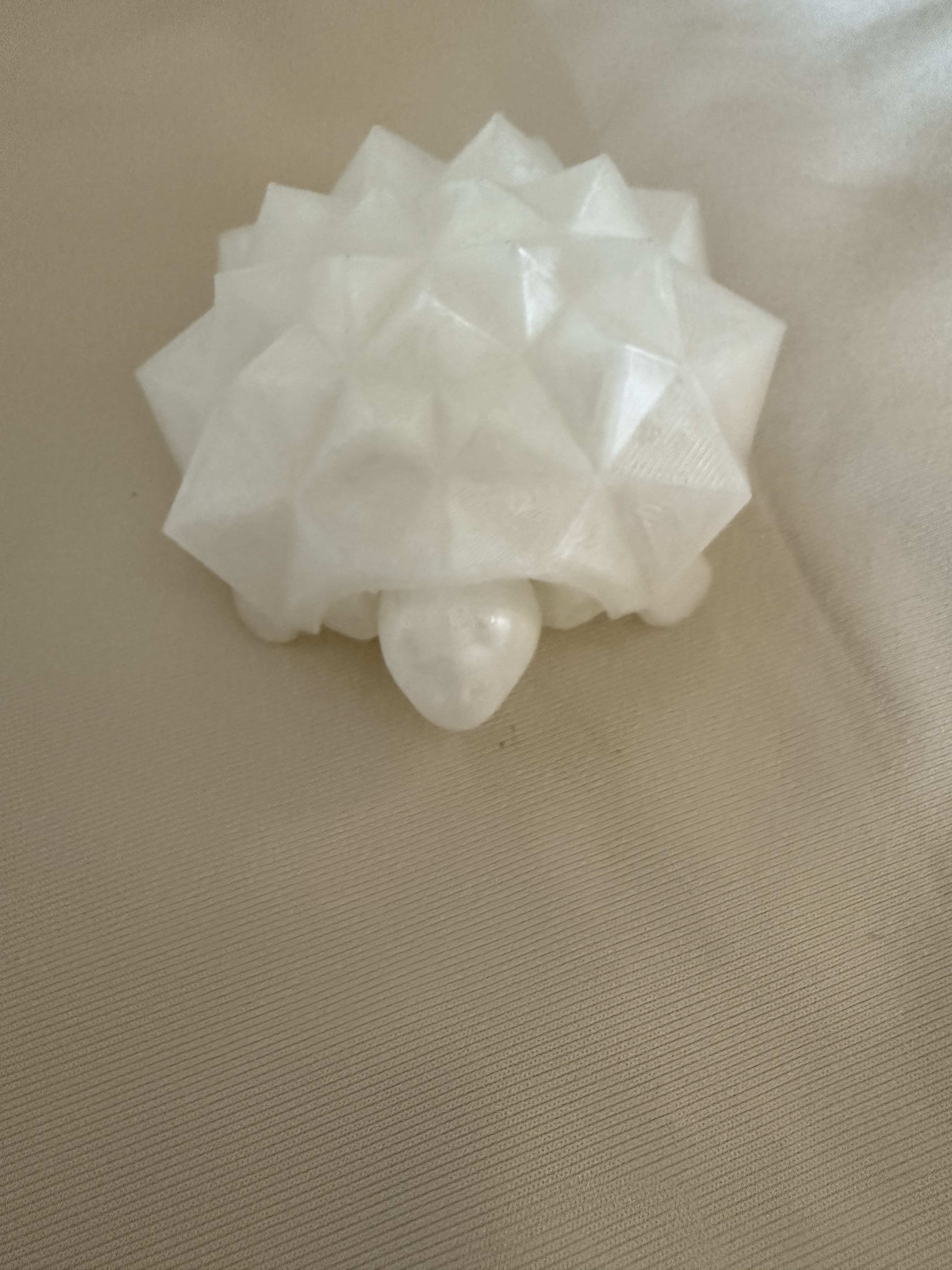 Tortue décorative en 3D