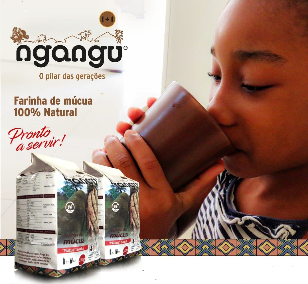 Farinha de Múcua (Baobá) – 2,4 kg (15 x 160g)