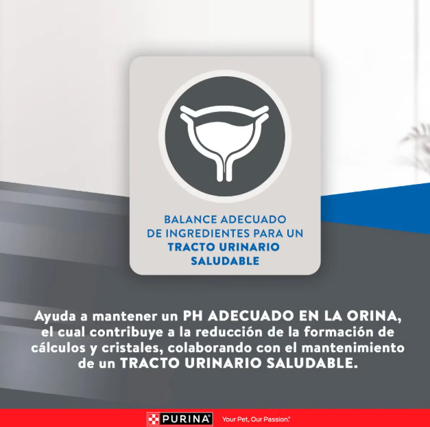 Purina Excellent gato adulto Mantenimiento 15 kg