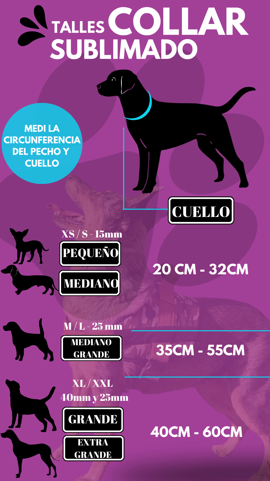 Collar para perro regulable