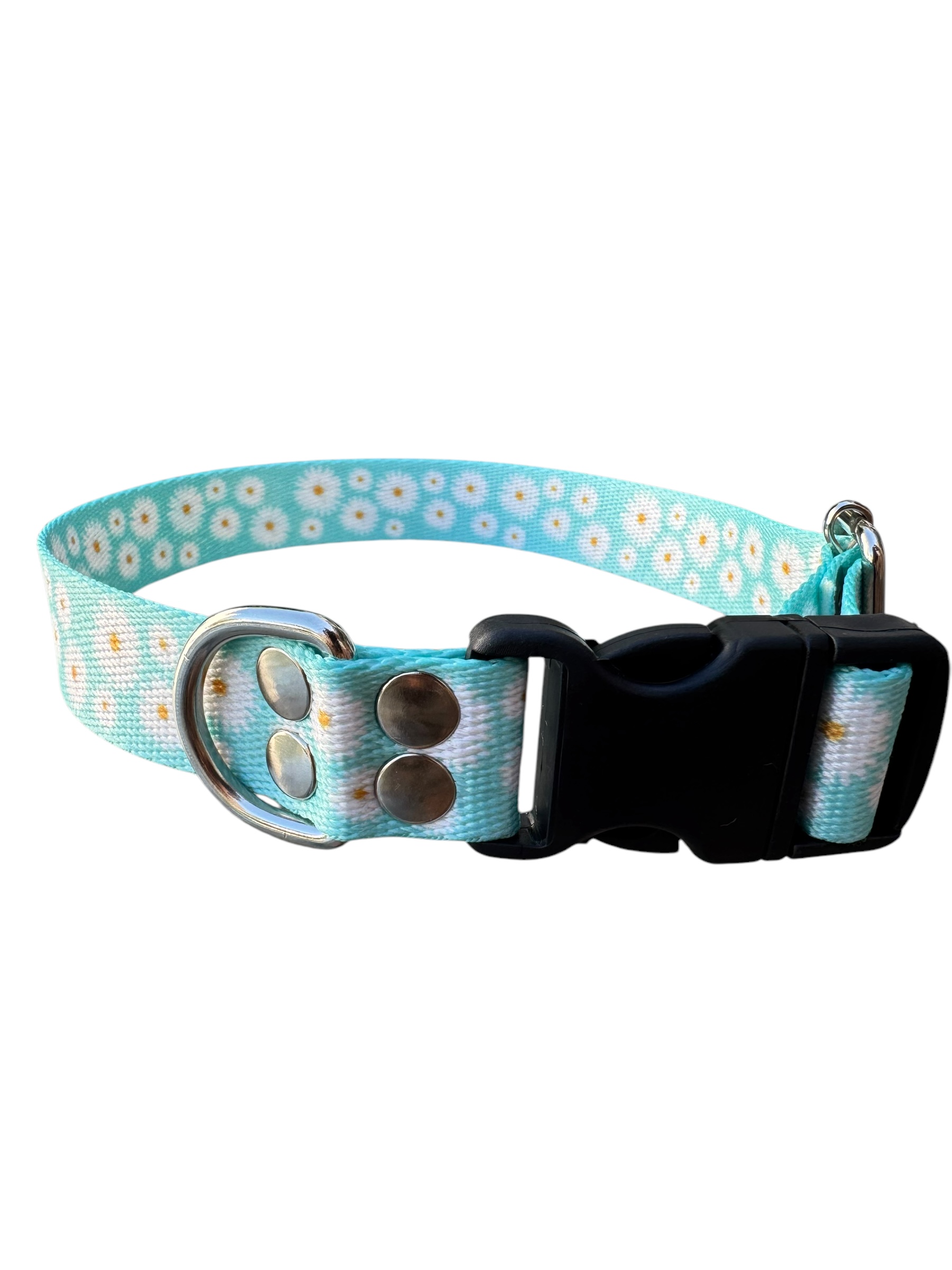 Collar para perro regulable