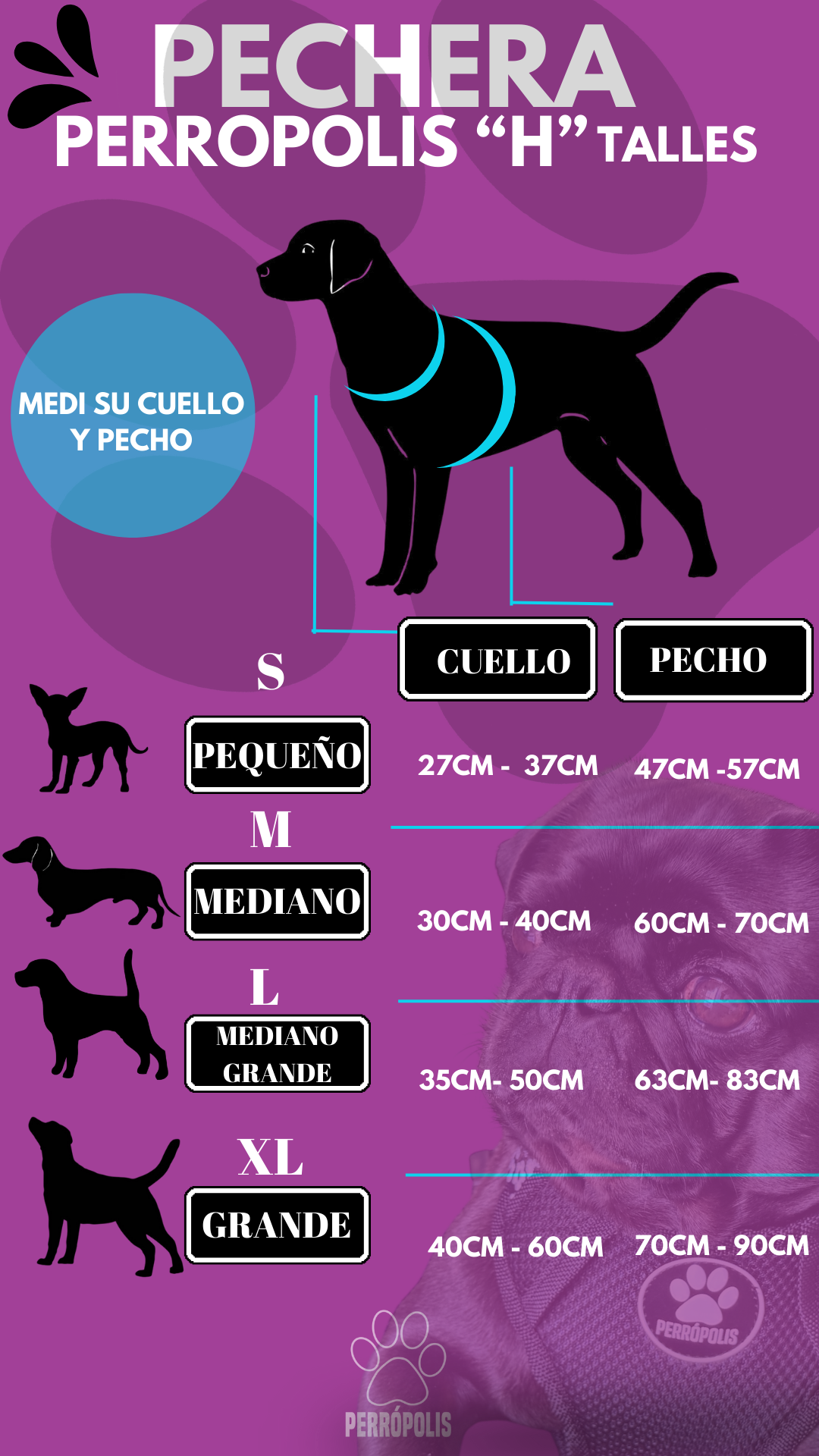 Pechera