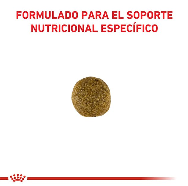 Royal Canin Gastrointestinal perros 2 kg.